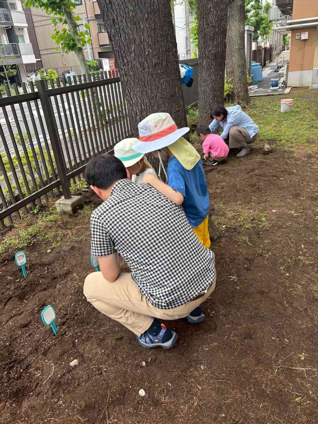 ど根性ひまわり②