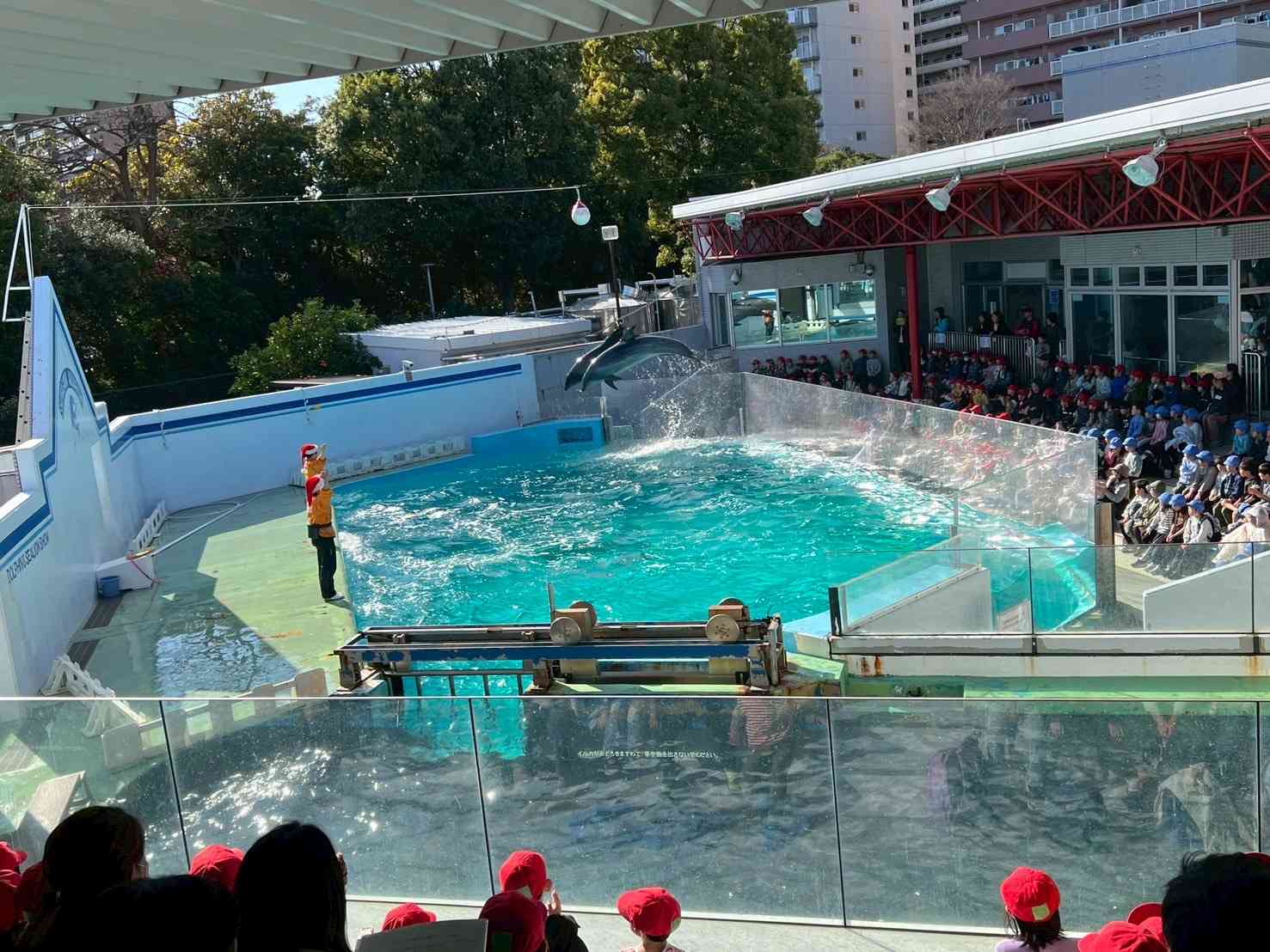 5326BAA9-2525-4167-A19D-33B991AD7FF9